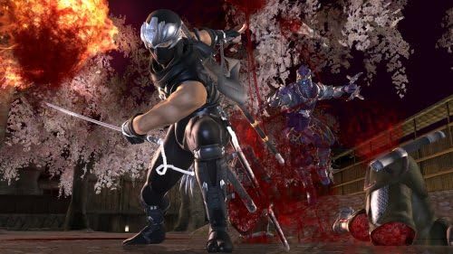 Ninja Gaiden 2 - Xbox 360 - Geeked Out Goods