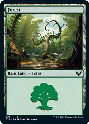 Forest - #374 - Land - King Gaming 