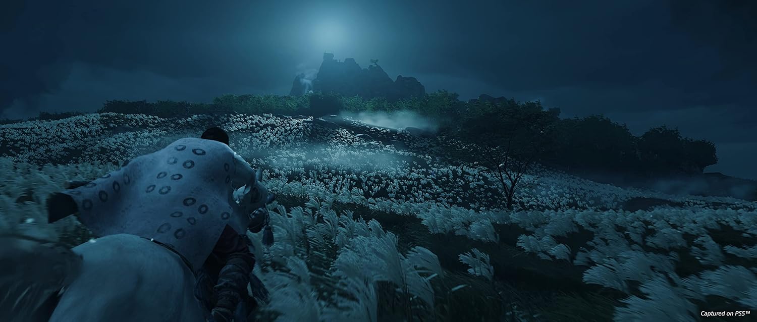 Ghost of Tsushima Director’s Cut - PlayStation 5 - King Gaming 