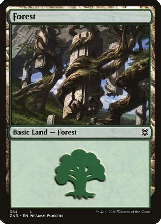 Forest - #384 - Land - Foil - King Gaming 