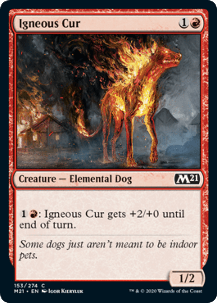 Igneous Cur - NM - C #153 King Gaming