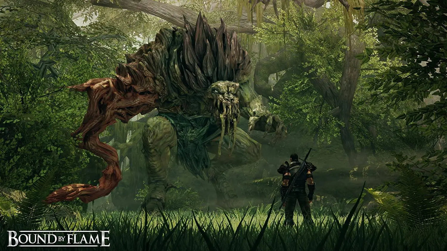 Bound By Flame PS3 - Used King Gaming