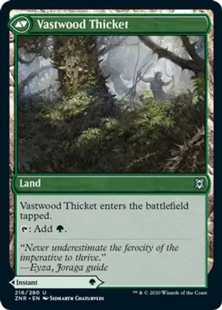 Vastwood Fortification #216 - U - Magic TCG King Gaming
