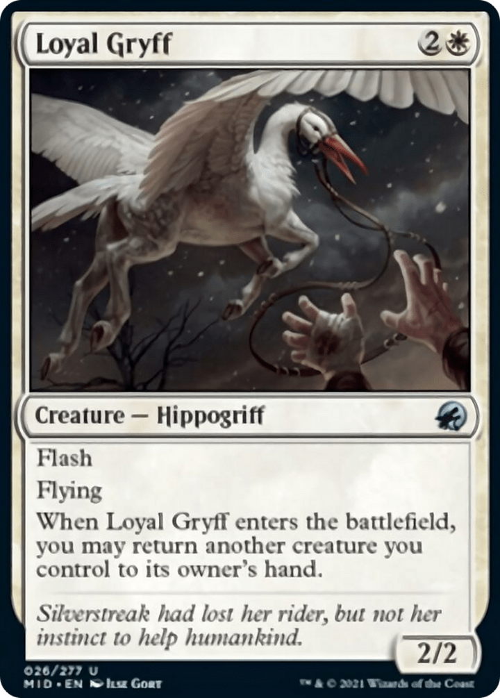 Loyal Gryff - NM - U King Gaming