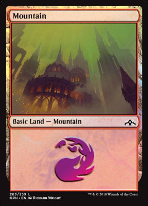 Mountain - L #263 King Gaming