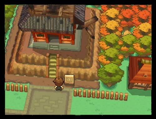 Pokemon: HeartGold Version - USED COPY - LOOSE - REPRODUCTION King Gaming